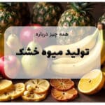 تولید میوه خشک