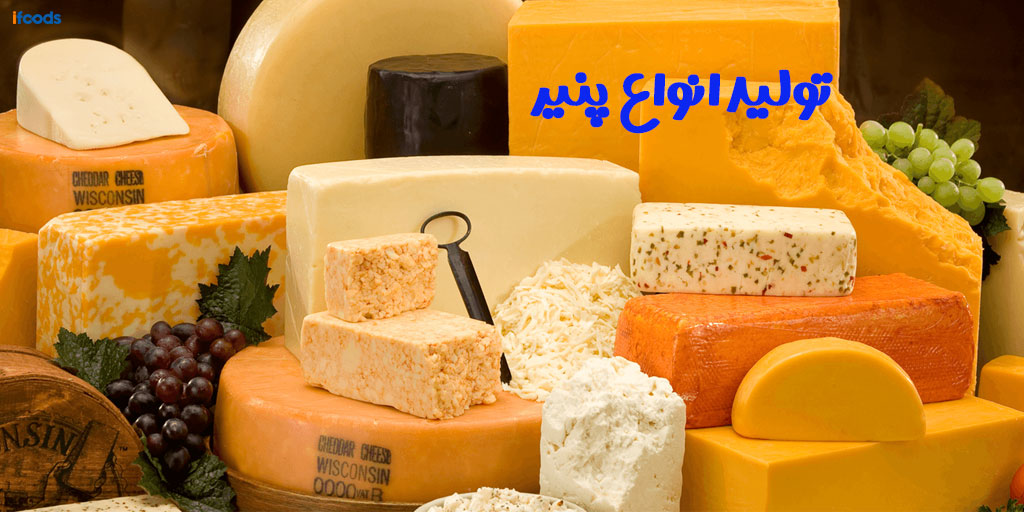 فرآیند تولید انواع پنیر