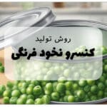این تصویر درباره تولید کنسرو نخودفرنگی است