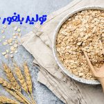 تولید بلغور جو