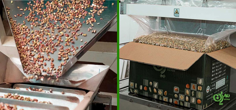 اهمیت فرآوری و بسته‌بندی صحیح مغز پسته در خرید عمده