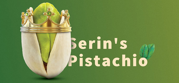 شرکت سرین، معتبرترین مرجع فروش عمده مغز پسته با قیمت استثنائی