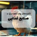 پودر تخم مرغ در صنایع غذایی
