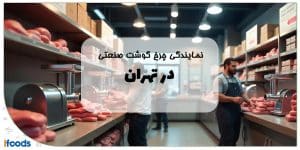 نمایندگی چرخ گوشت صنعتی در تهران