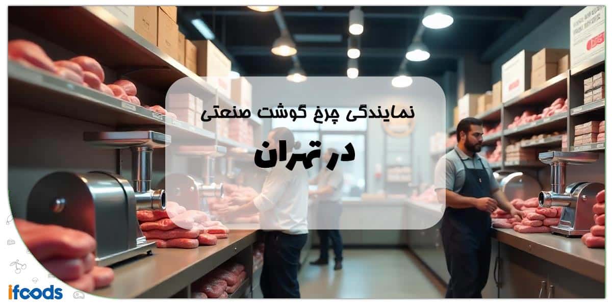 نمایندگی چرخ گوشت صنعتی در تهران