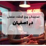 نمایندگی چرخ گوشت صنعتی در اصفهان