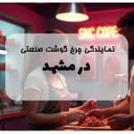 نمایندگی چرخ گوشت صنعتی در مشهد