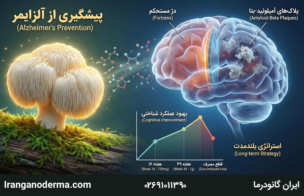 قارچ یال شیر و تقویت حافظه