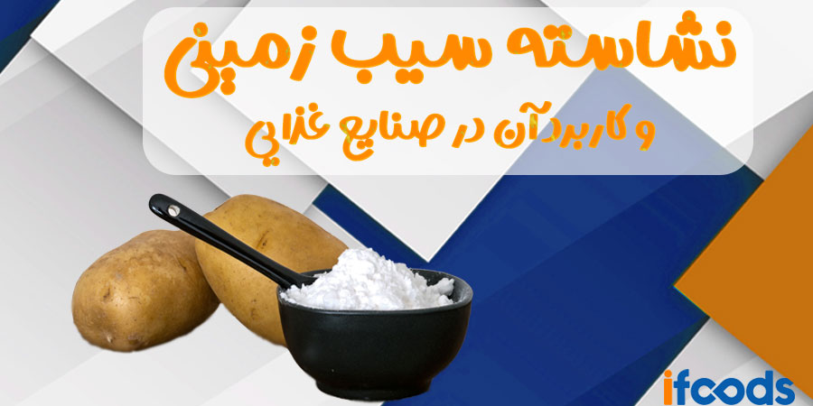 پودر نشاسته سیب زمینی و کاربرد های آن در صنایع غذایی