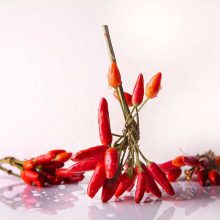 فلفل قرمز ایرانی برند Karoël Spice